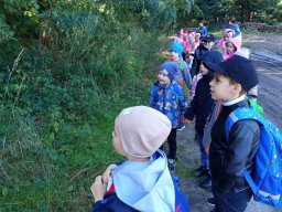 2025-09-24 Krasnale u leśniczego